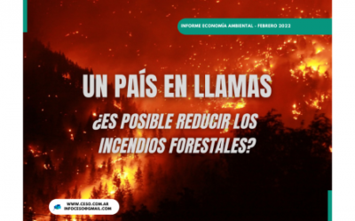 UN PAÍS EN LLAMAS, ¿ES POSIBLE REDUCIR LOS INCENDIOS FORESTALES?